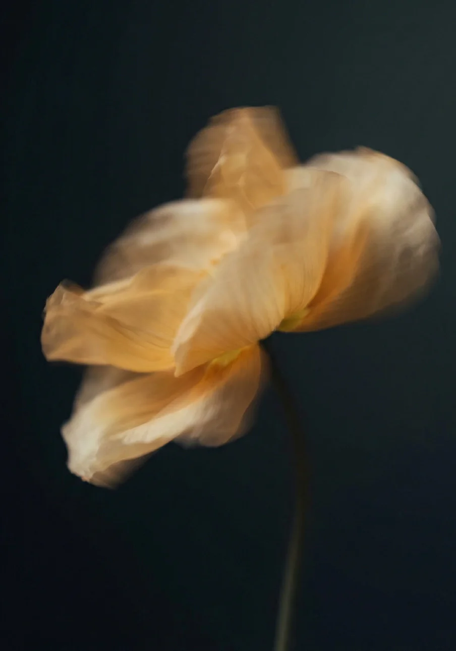 home-banner